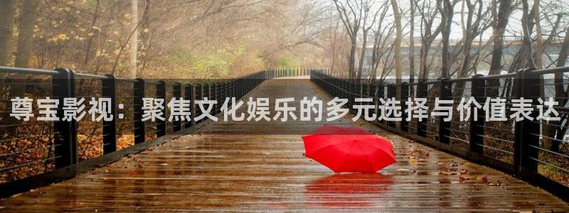 中國電影理論