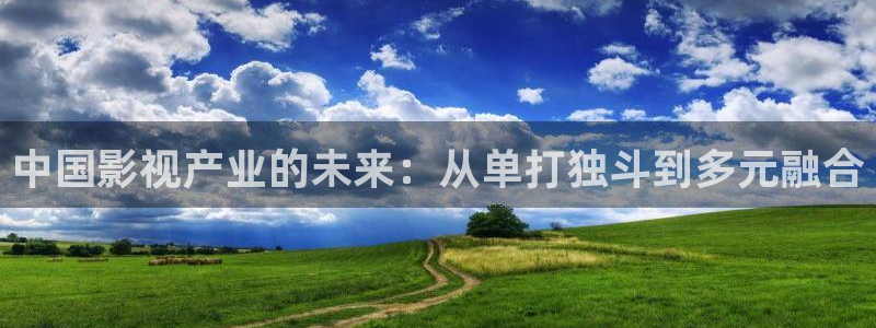 國產亞洲精品理論電影：中國影視產業的未來：從單打獨斗到多元融合