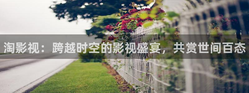 日韓歐美理論電影：淘影視：跨越時空的影視盛宴，共賞世間百態